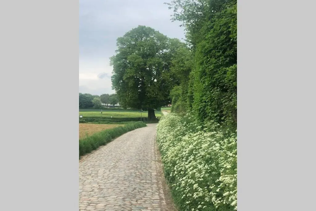 Loft In Tervuren Fantastische Views Dichtbij Park 0*,